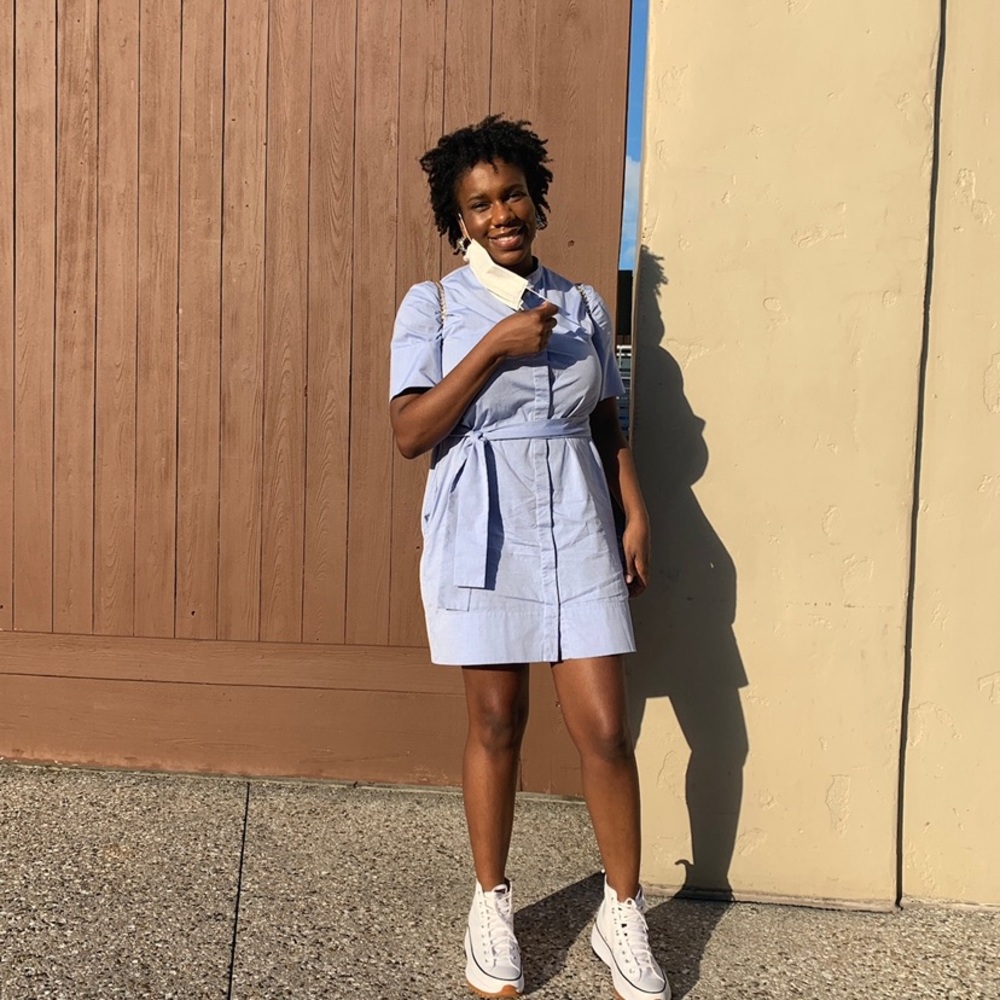 Everlane Dress